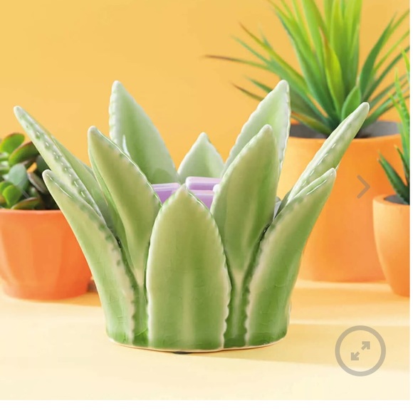 Scentsy Other - Scentsy aloe Vera warmer
